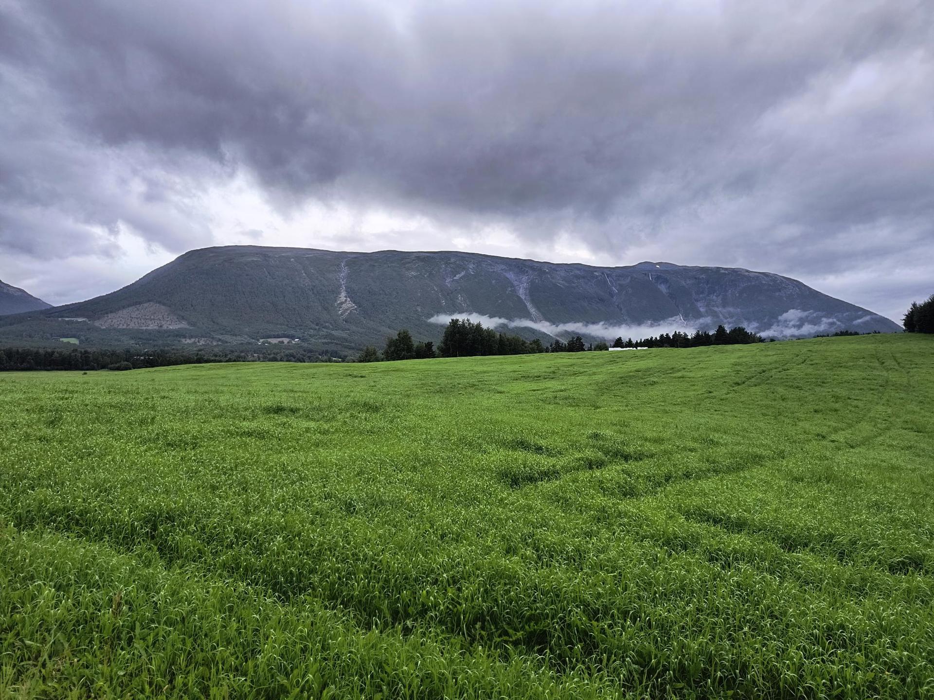 Medlemsmøte 3. september