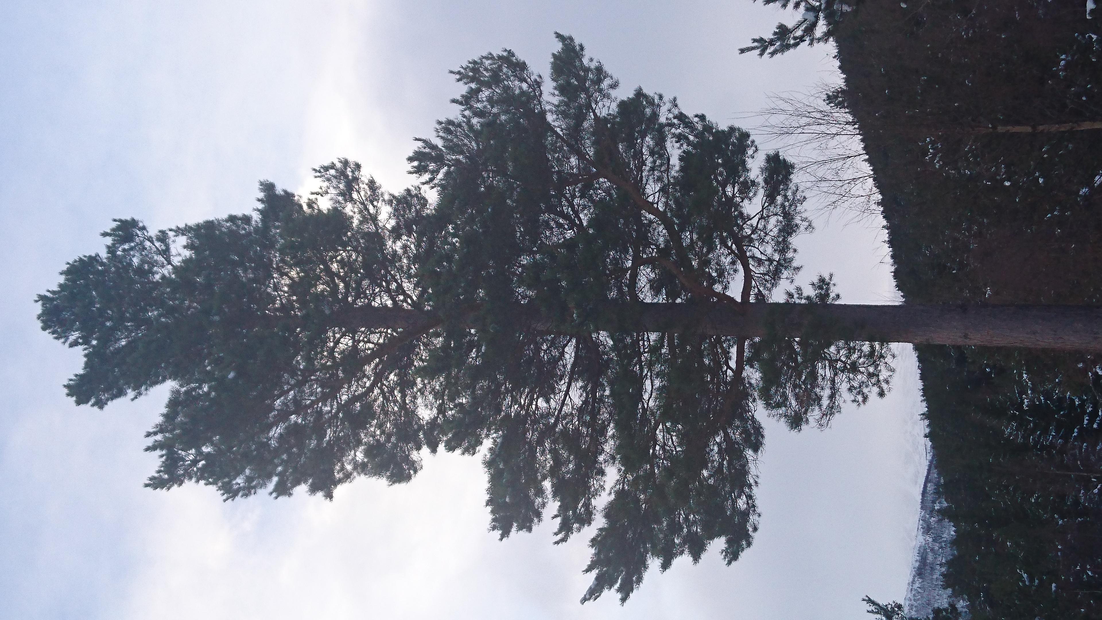 Artikkelbilde til artikkelen Medlemsmøte 1. oktober