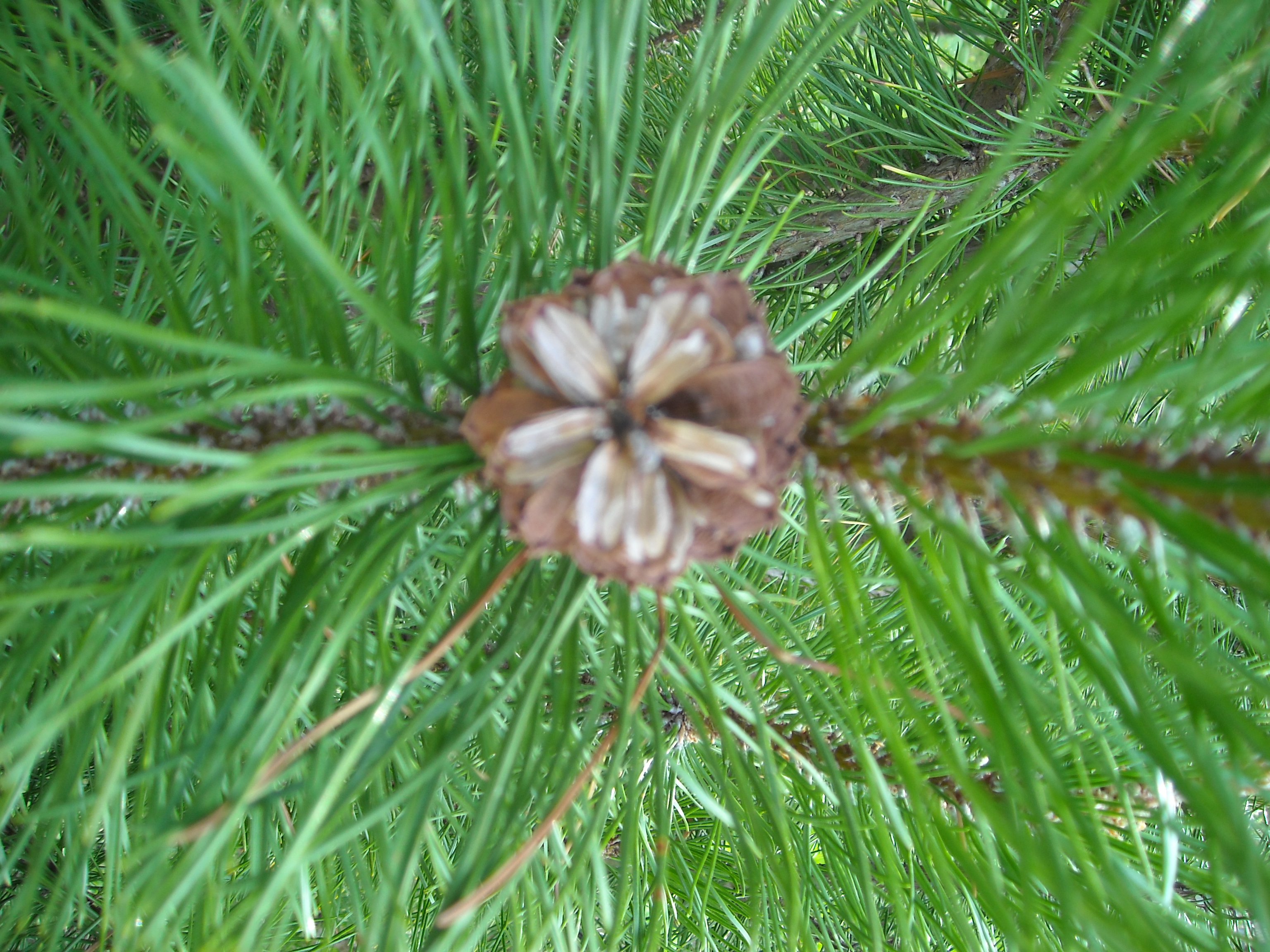 Artikkelbilde til artikkelen Årsmøtet