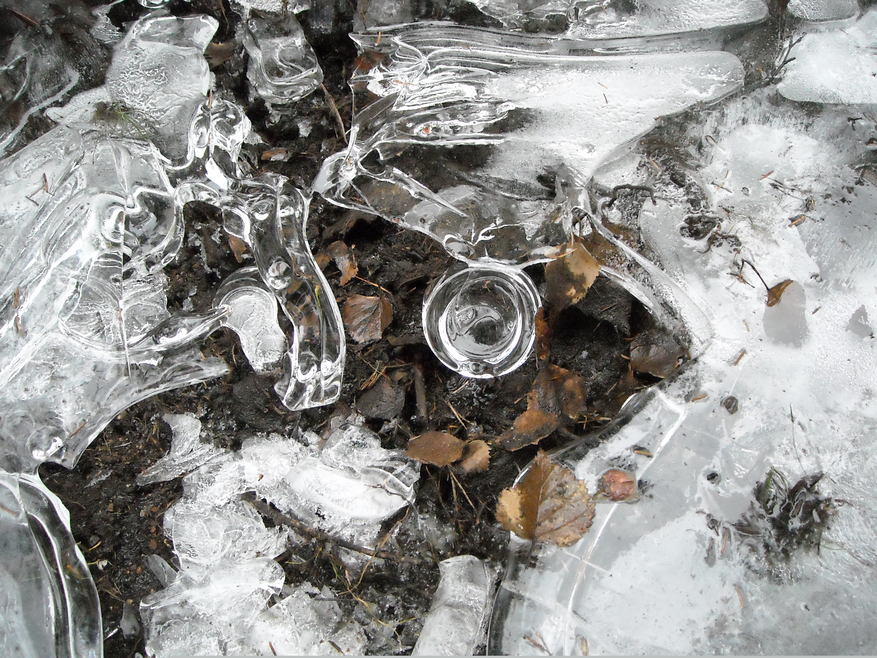 Artikkelbilde til artikkelen Medlemsmøte 4. mars